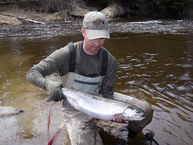 spring2011 074.jpg - Brian in the Thunder Bay area holding a steelhead over 70 cm (28”) in the 9 to 10 pound class.This is very large for Lake Superior.